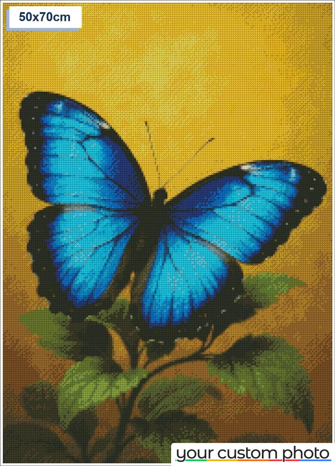 Blue Butterfly