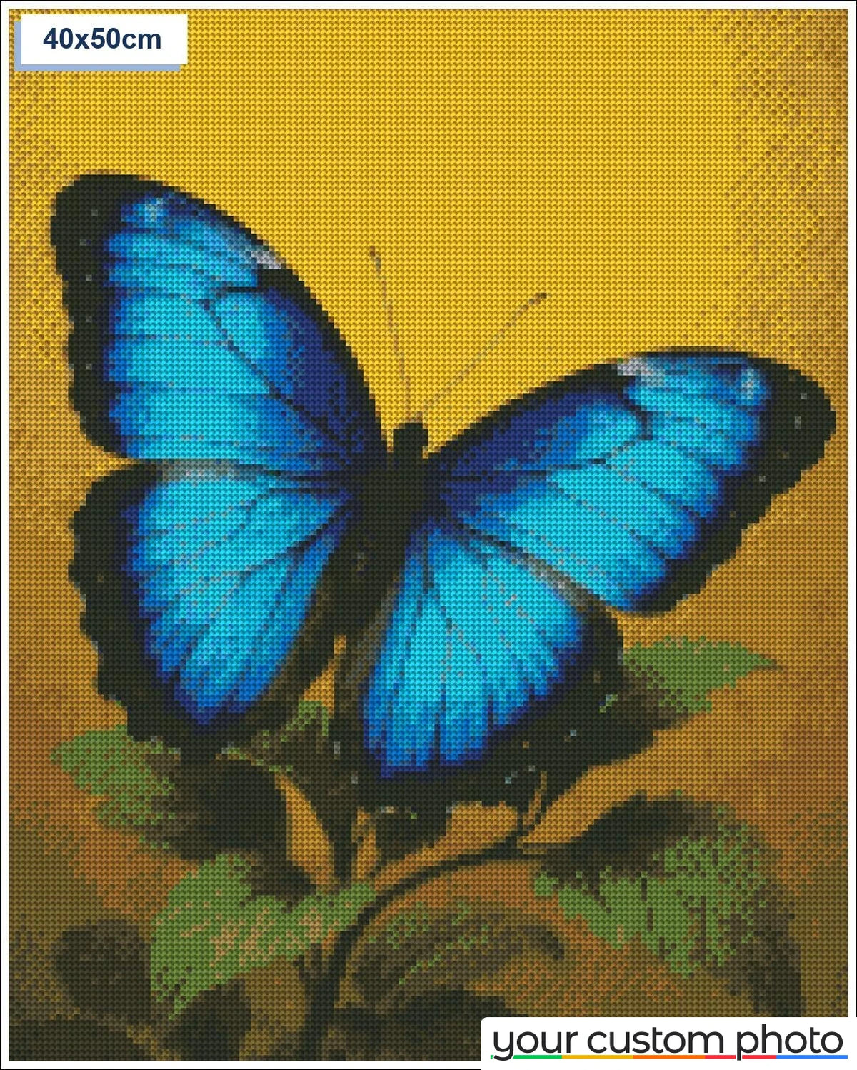 Blue Butterfly