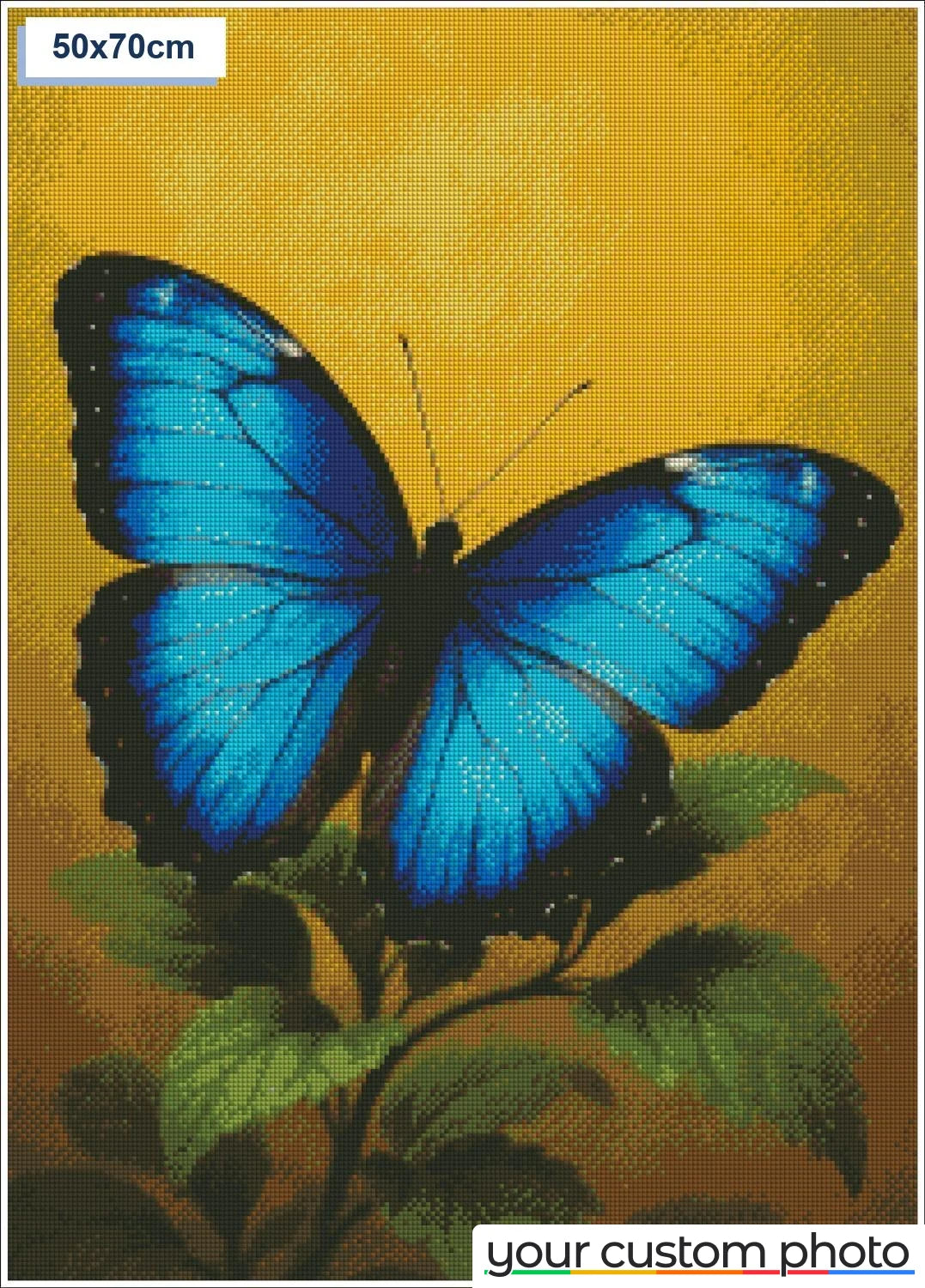Blue Butterfly