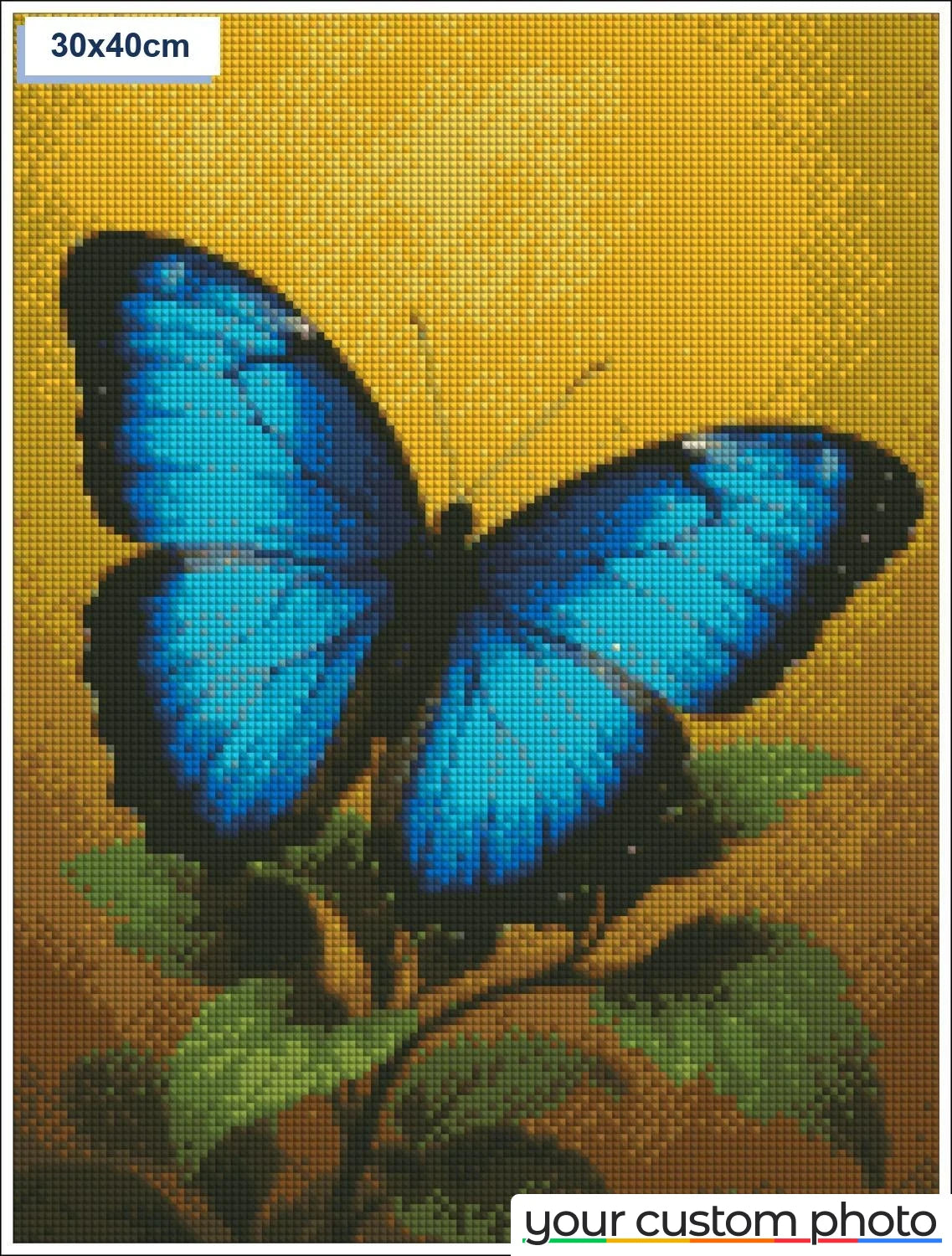 Blue Butterfly