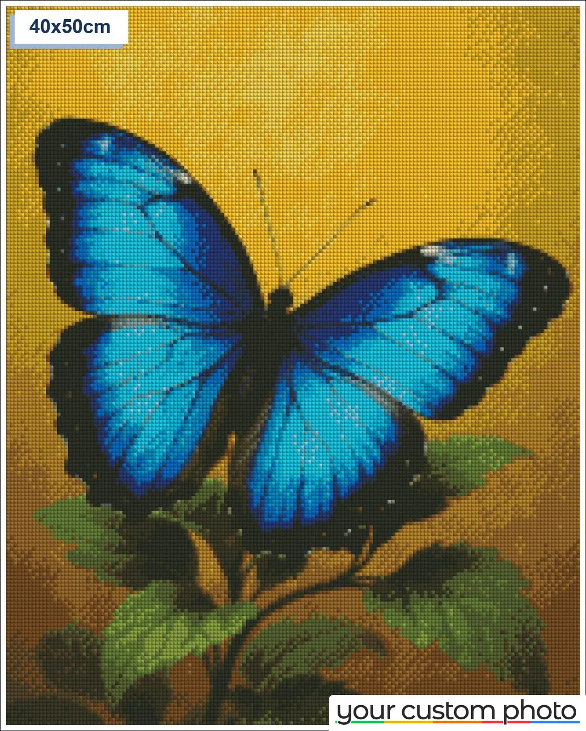 Blue Butterfly