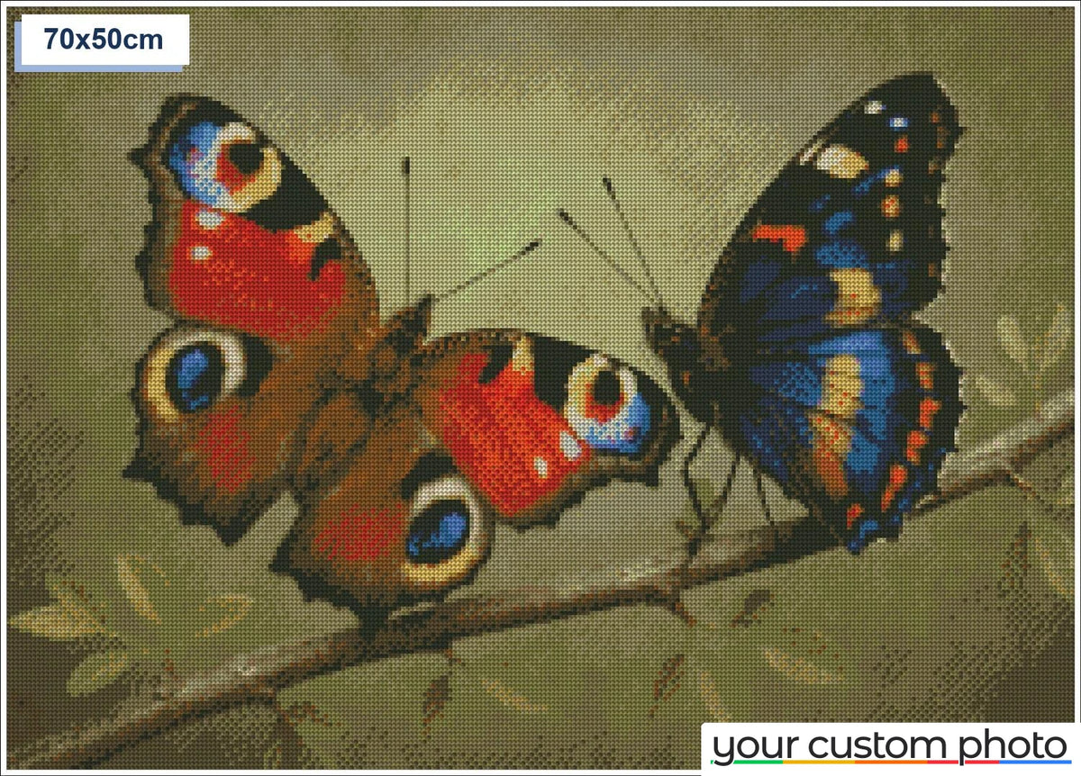 Two colorful butterflies