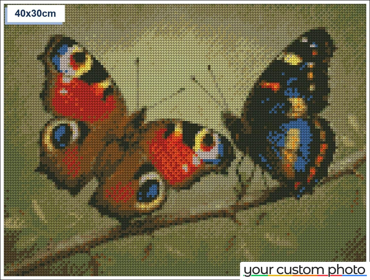 Two colorful butterflies