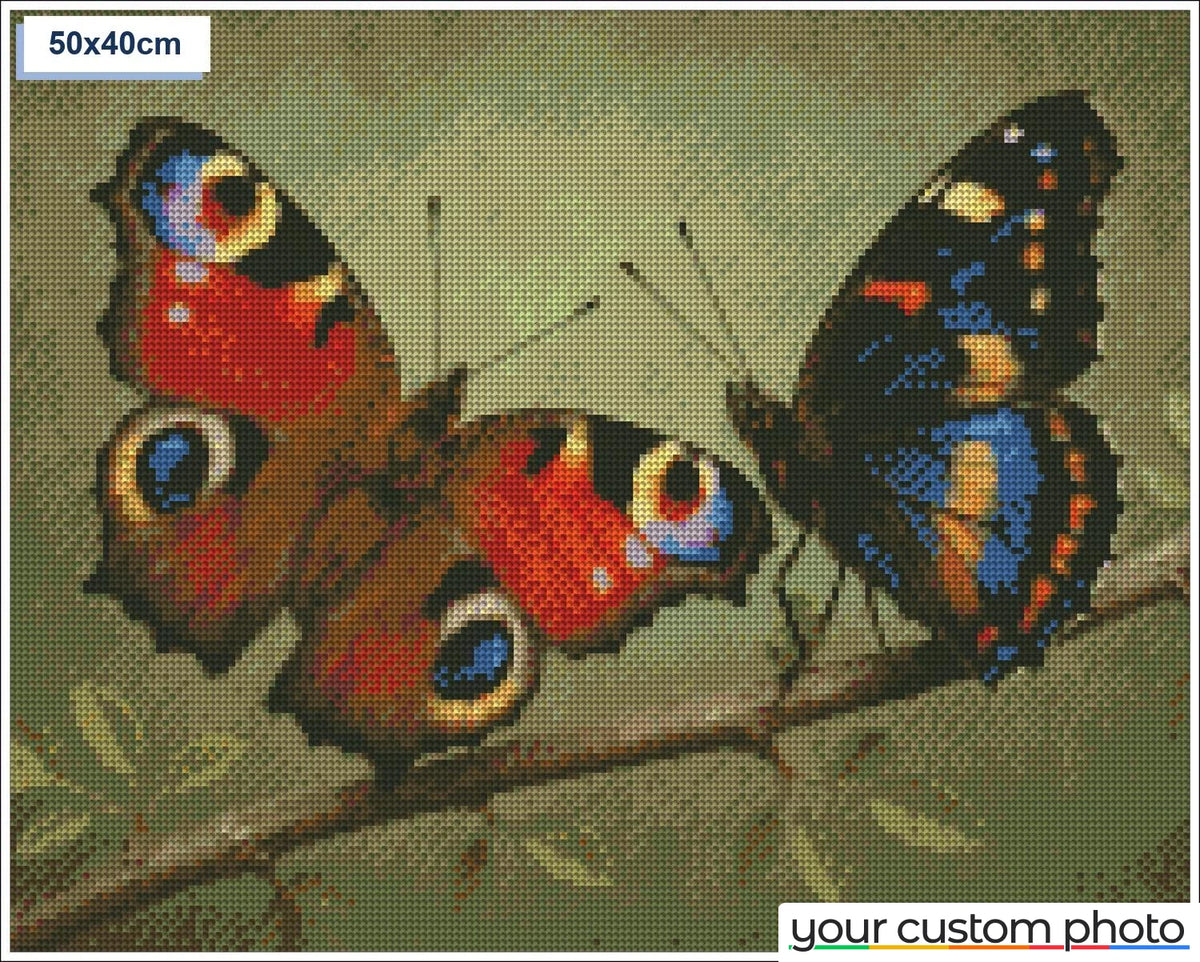 Two colorful butterflies
