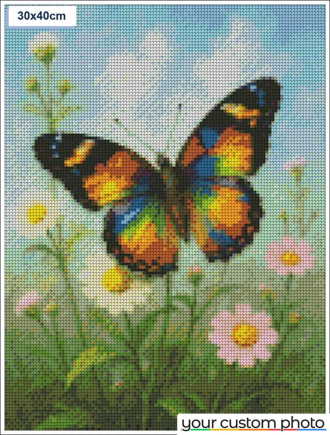 Butterfly in a Field of Flowers