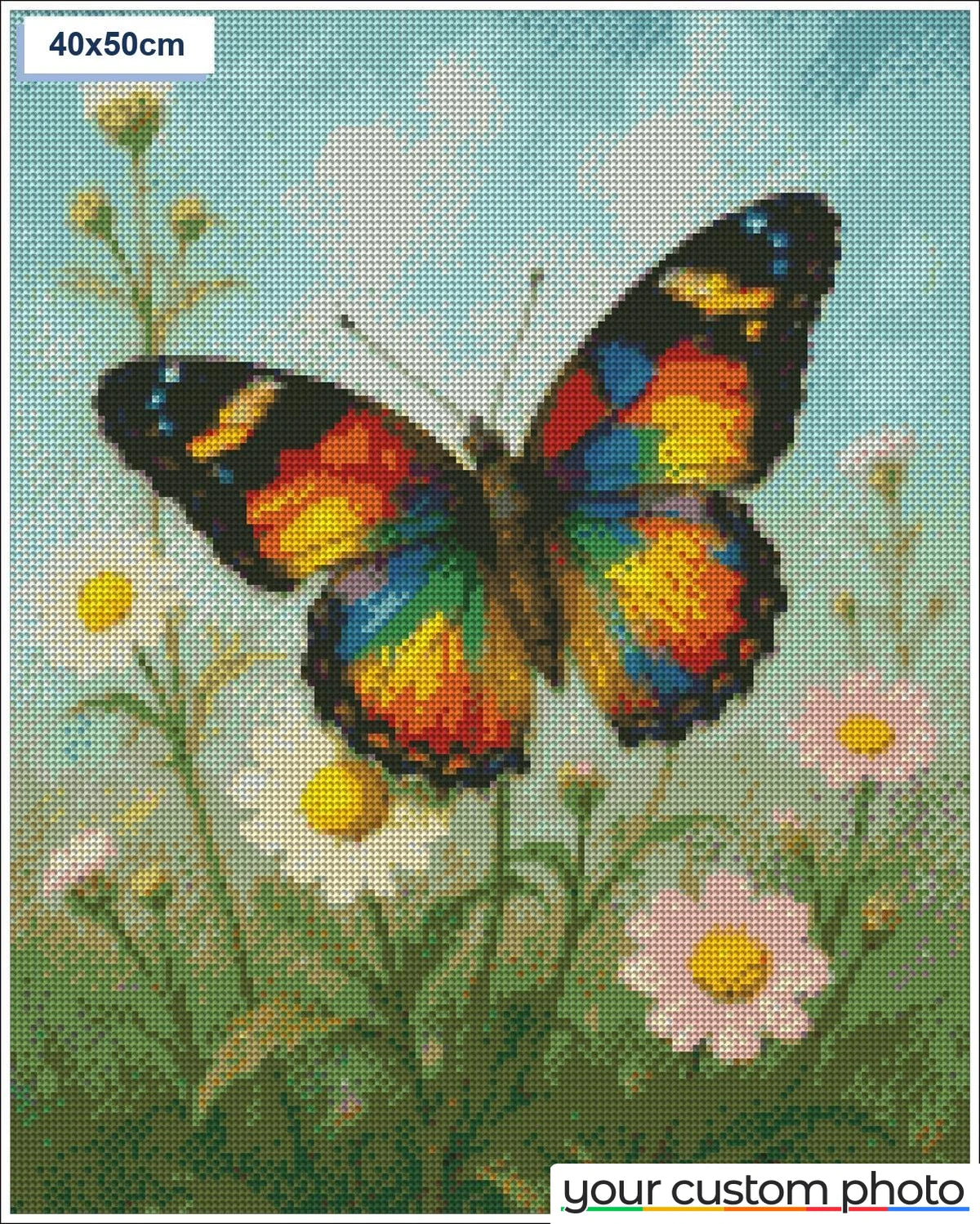 Butterfly in a Field of Flowers