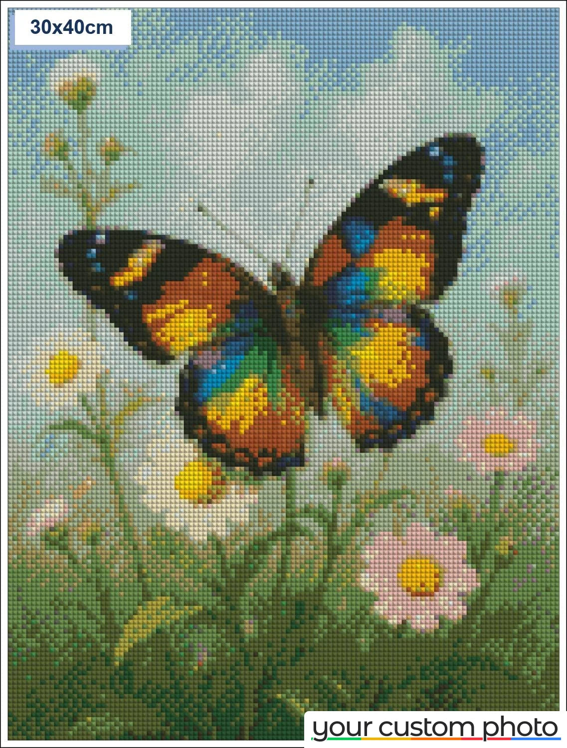 Butterfly in a Field of Flowers