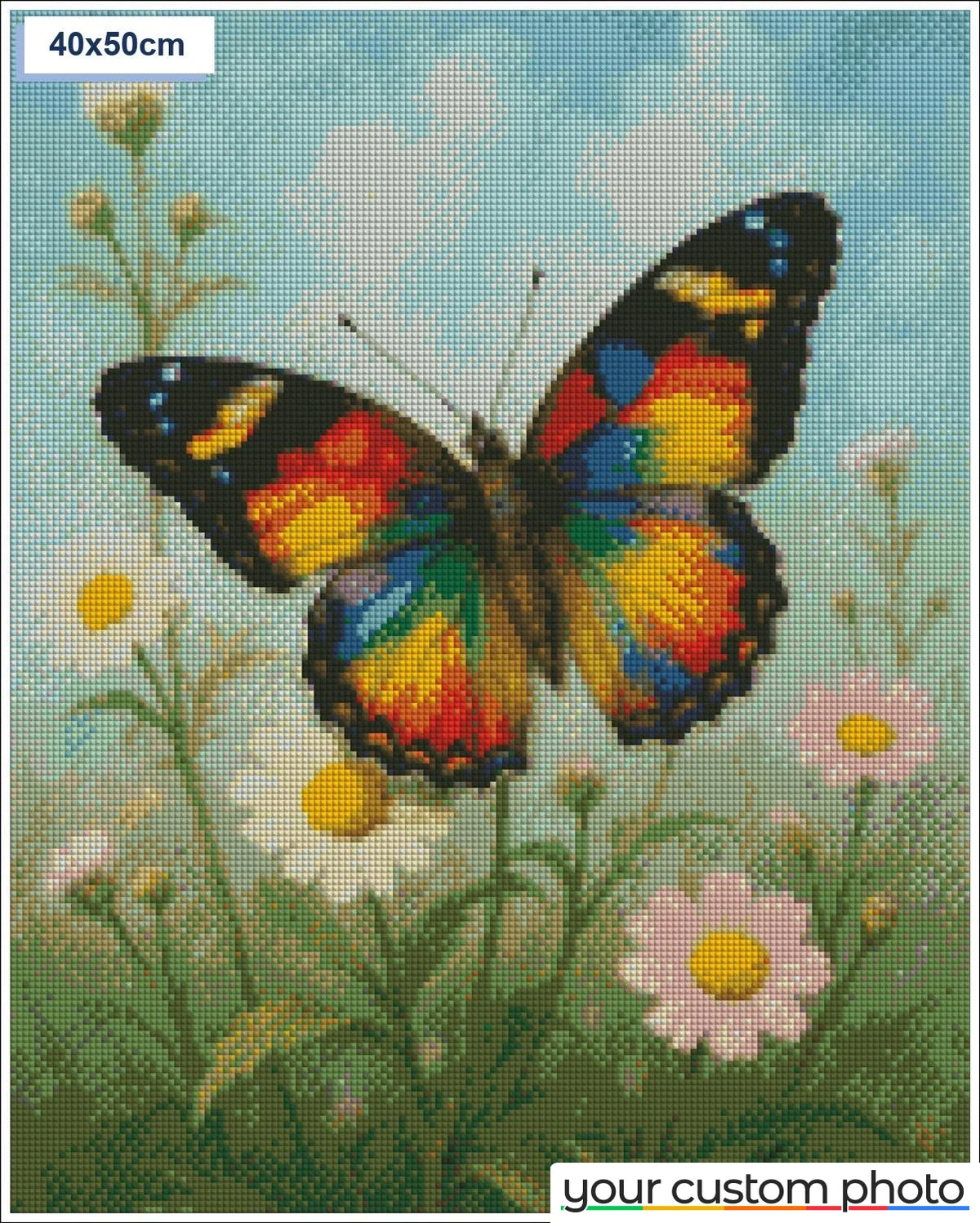 Butterfly in a Field of Flowers