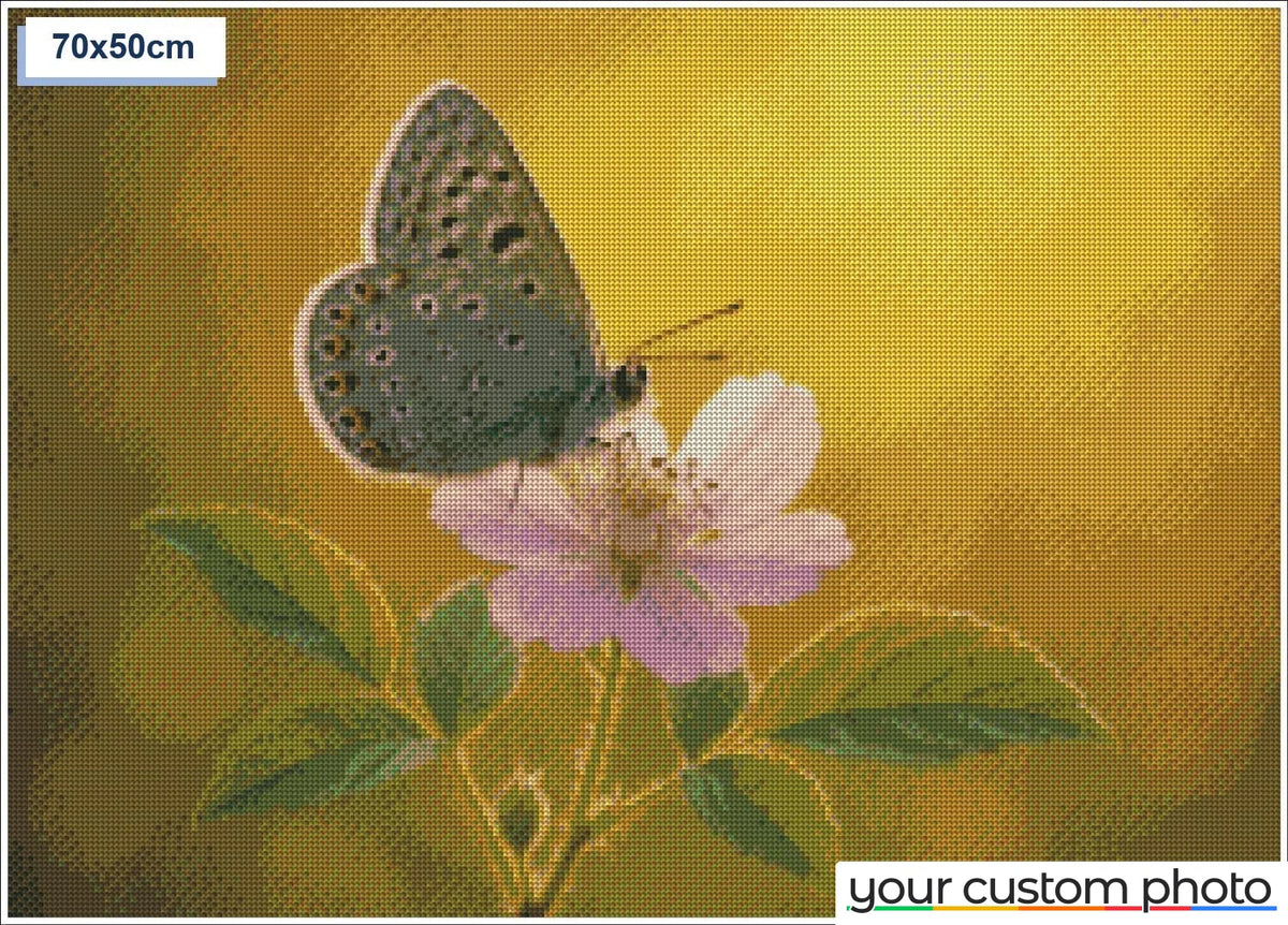 Butterfly on Flower