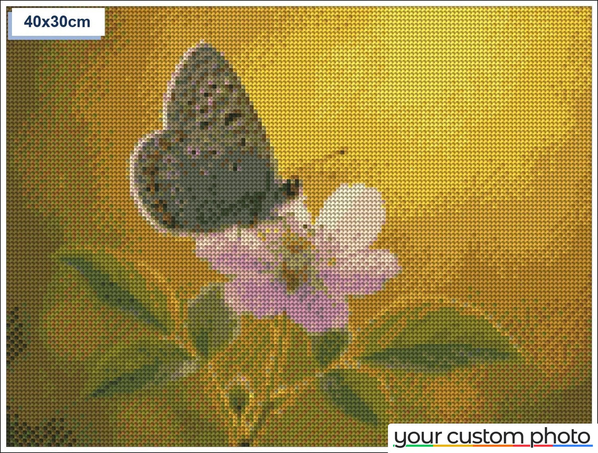 Butterfly on Flower