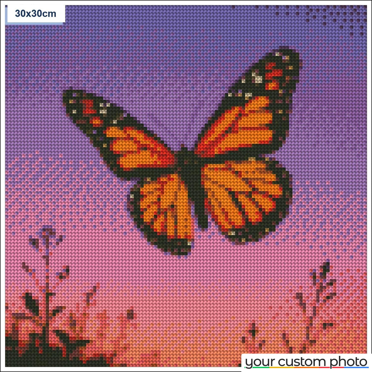 Butterfly sunset
