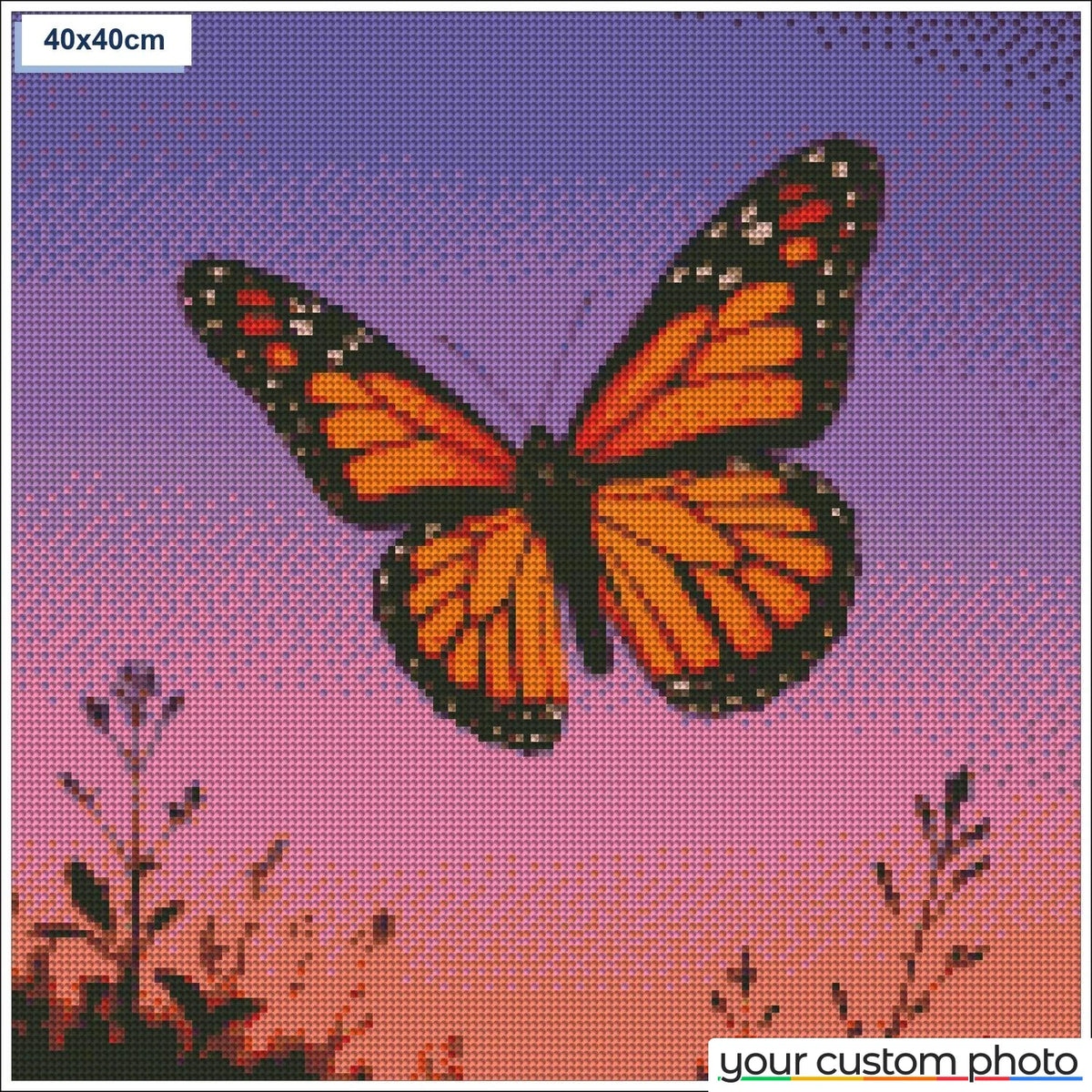 Butterfly sunset