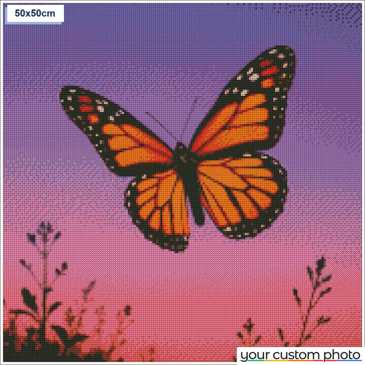 Butterfly sunset