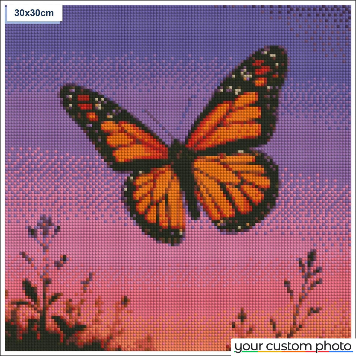 Butterfly sunset