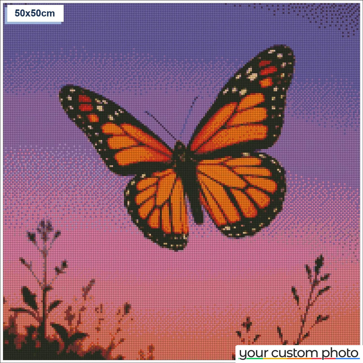 Butterfly sunset