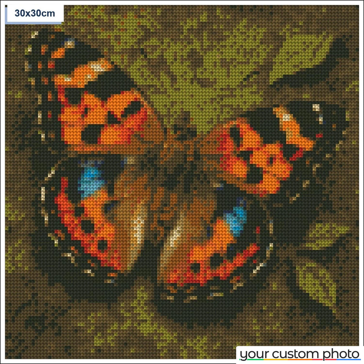 Colorful butterfly