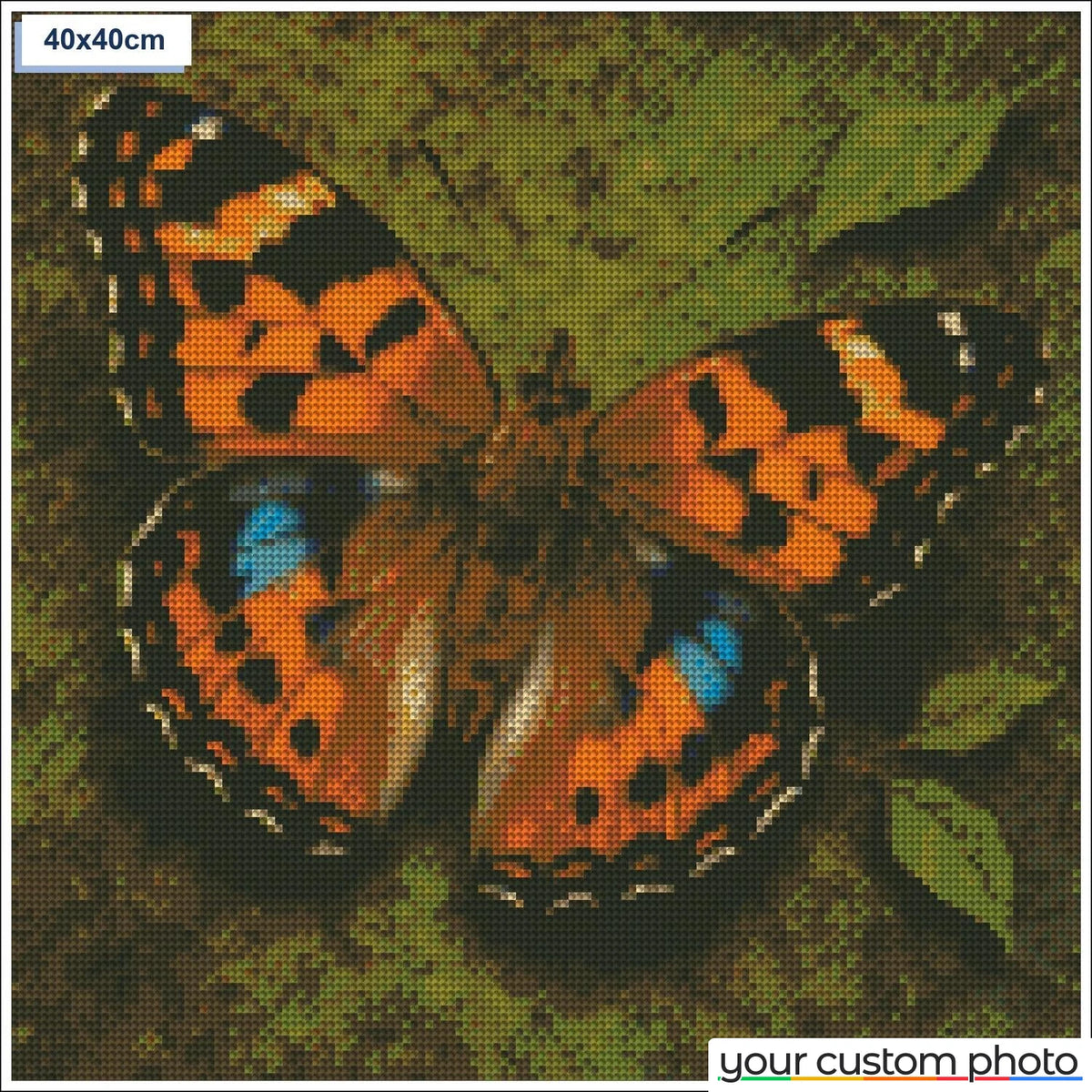 Colorful butterfly