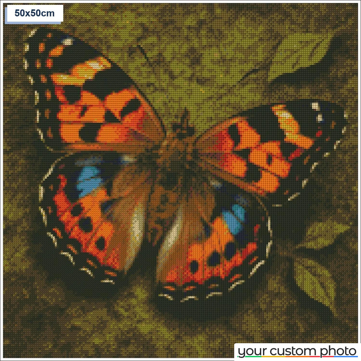 Colorful butterfly