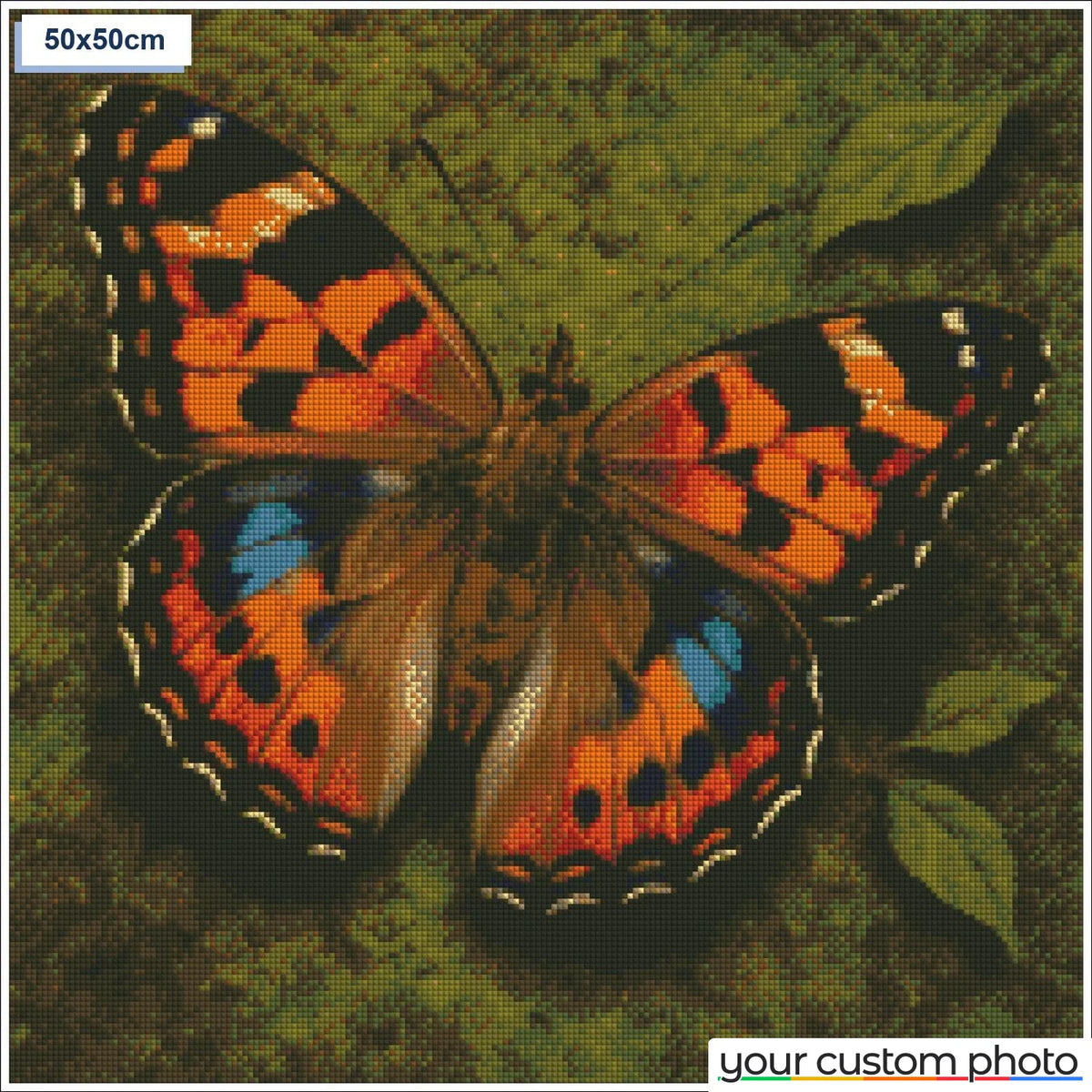 Colorful butterfly