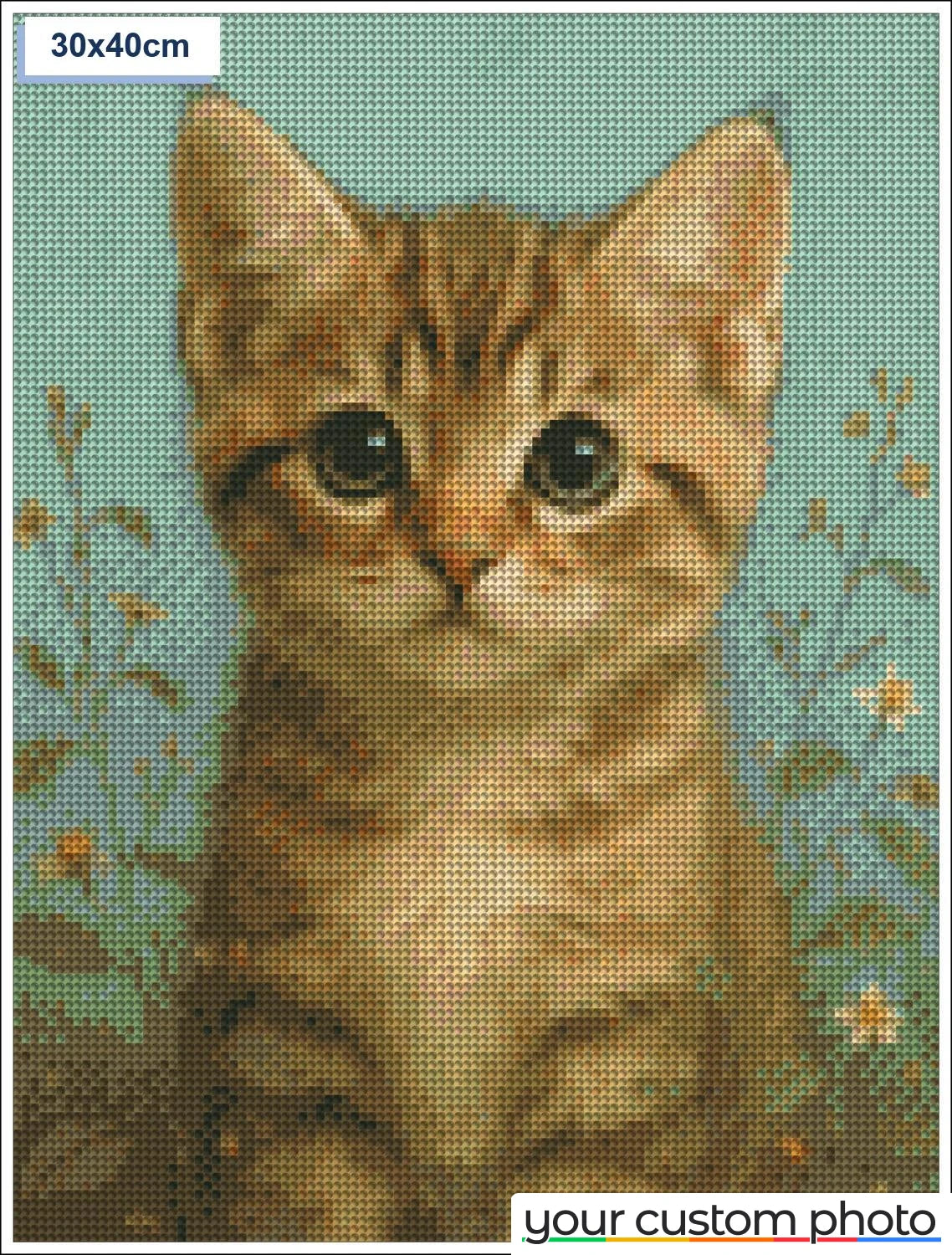 Cute cat