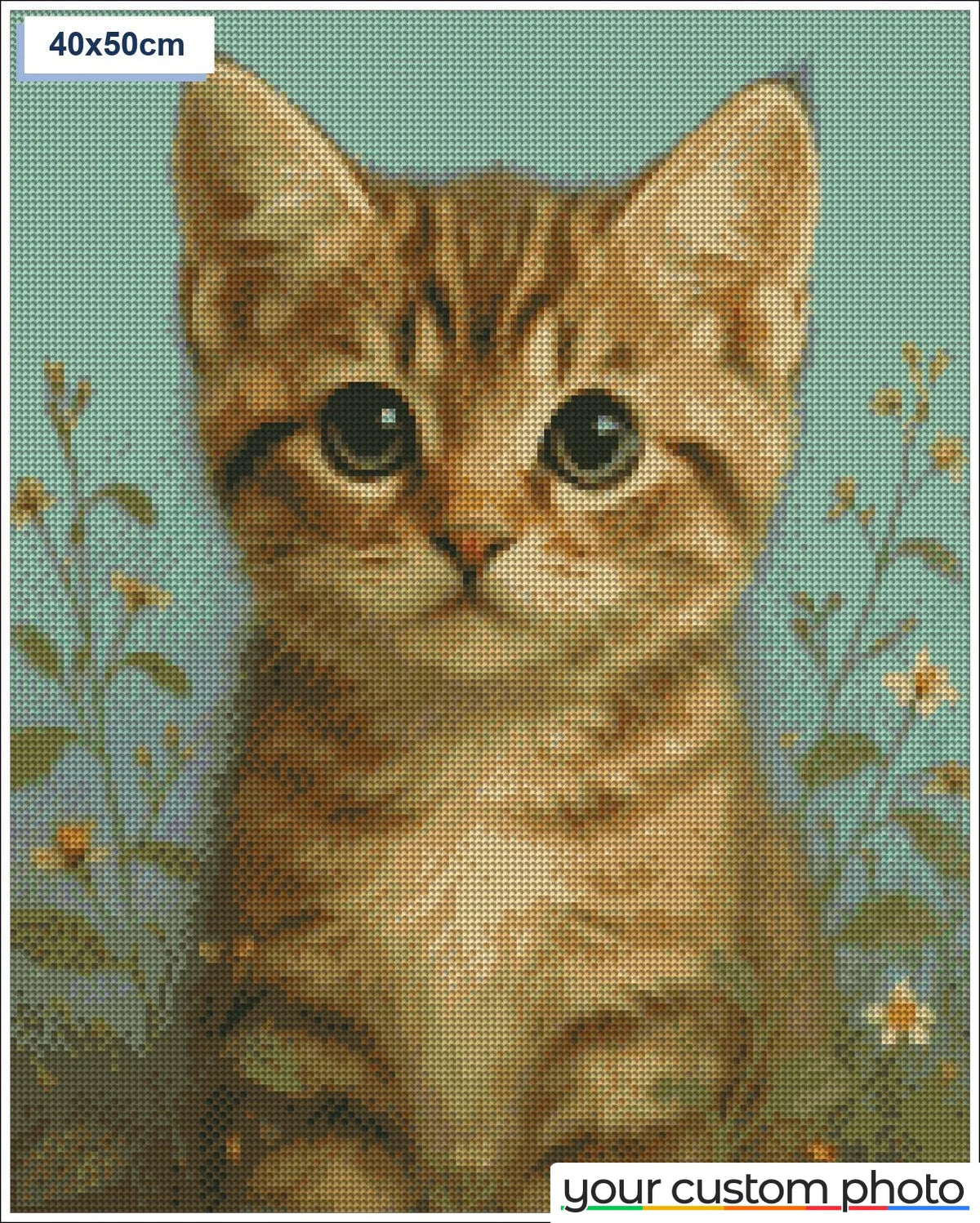 Cute cat