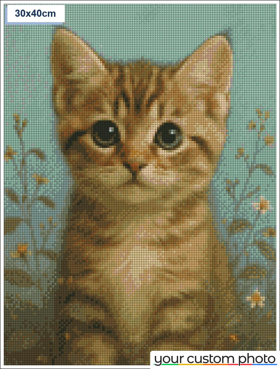 Cute cat