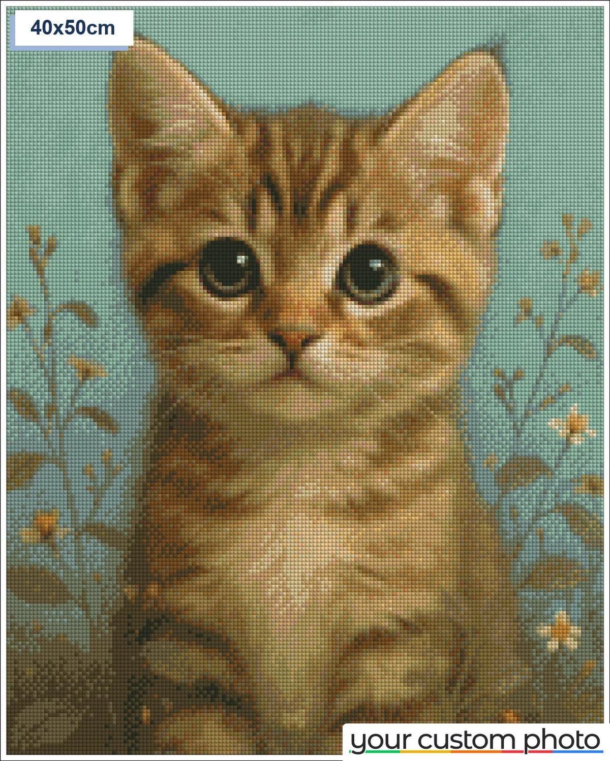 Cute cat