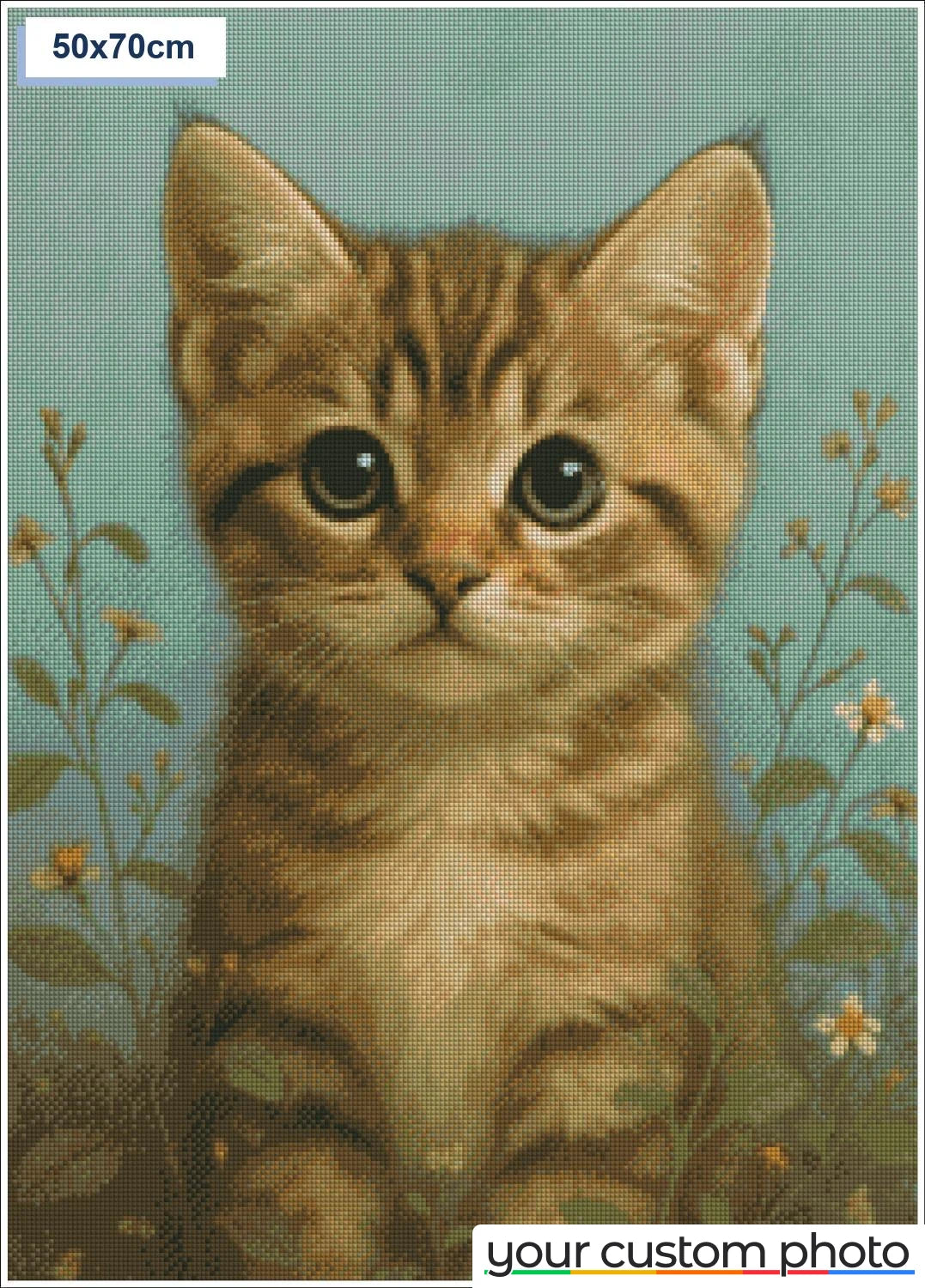 Cute cat