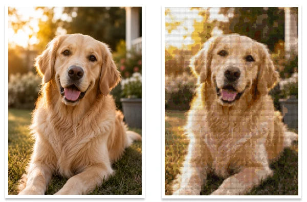 Original photo next to its custom diamond painting preview