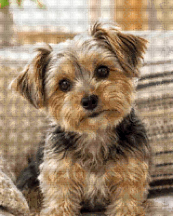 Finished pet diamond painting with square drills