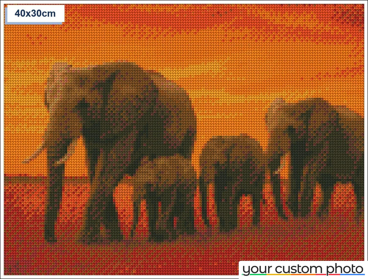 Elephant Family