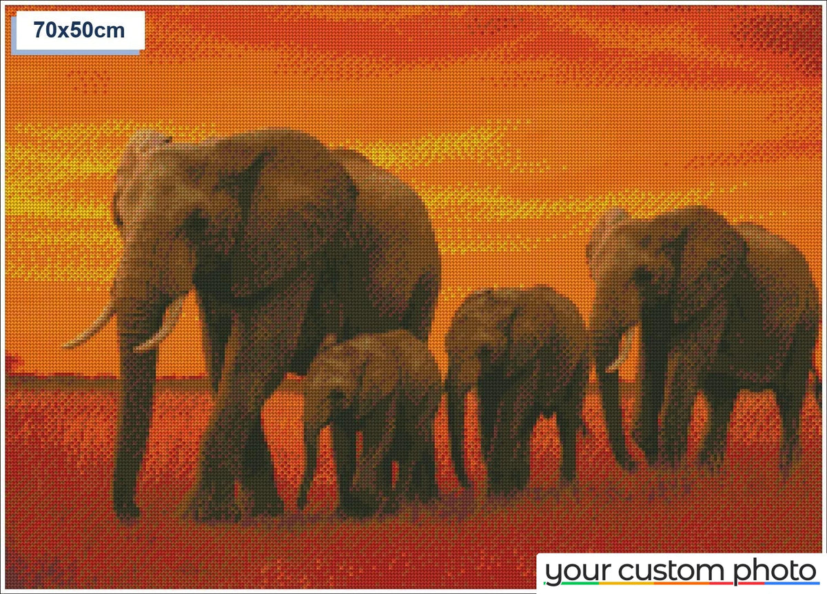 Elephant Family