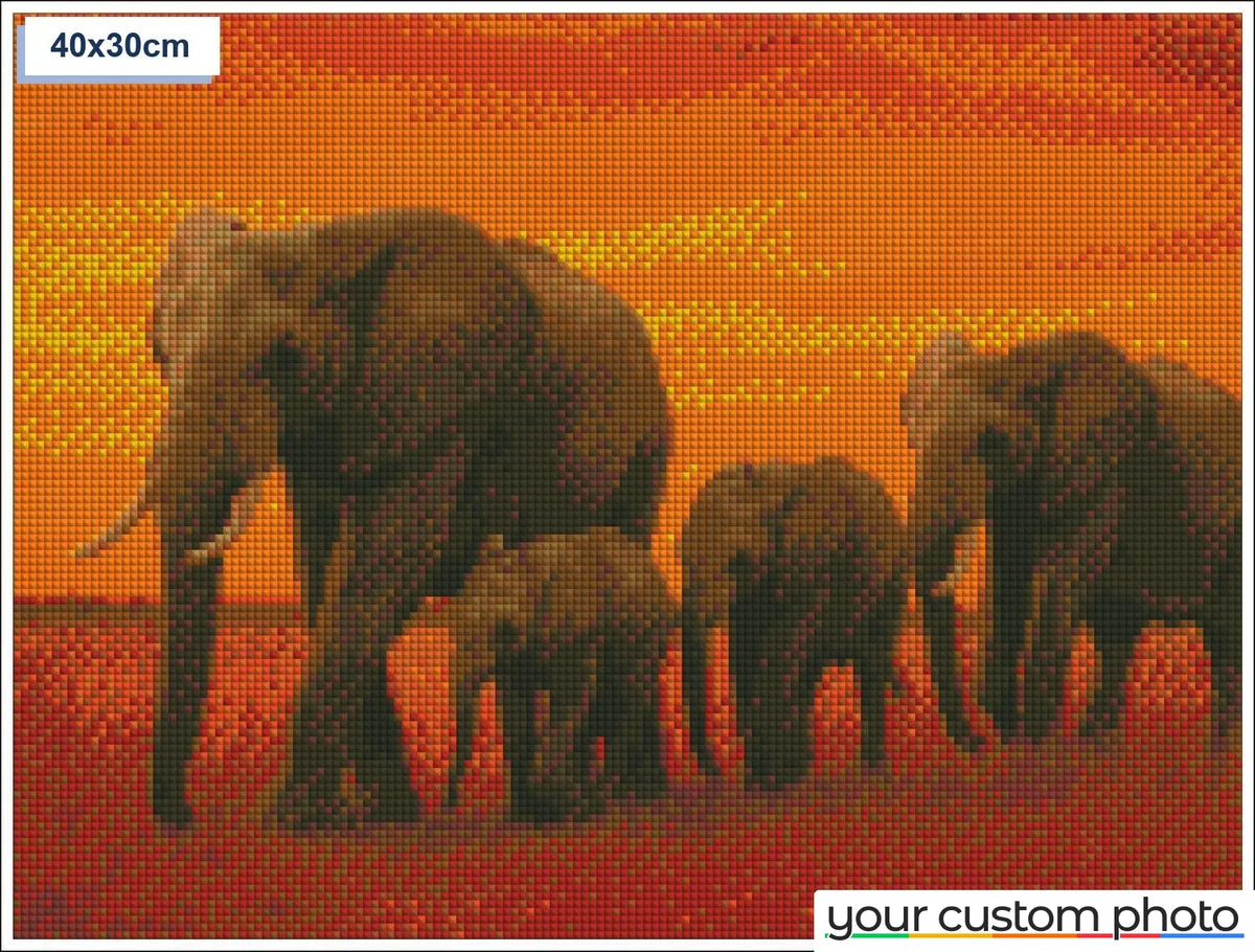 Elephant Family