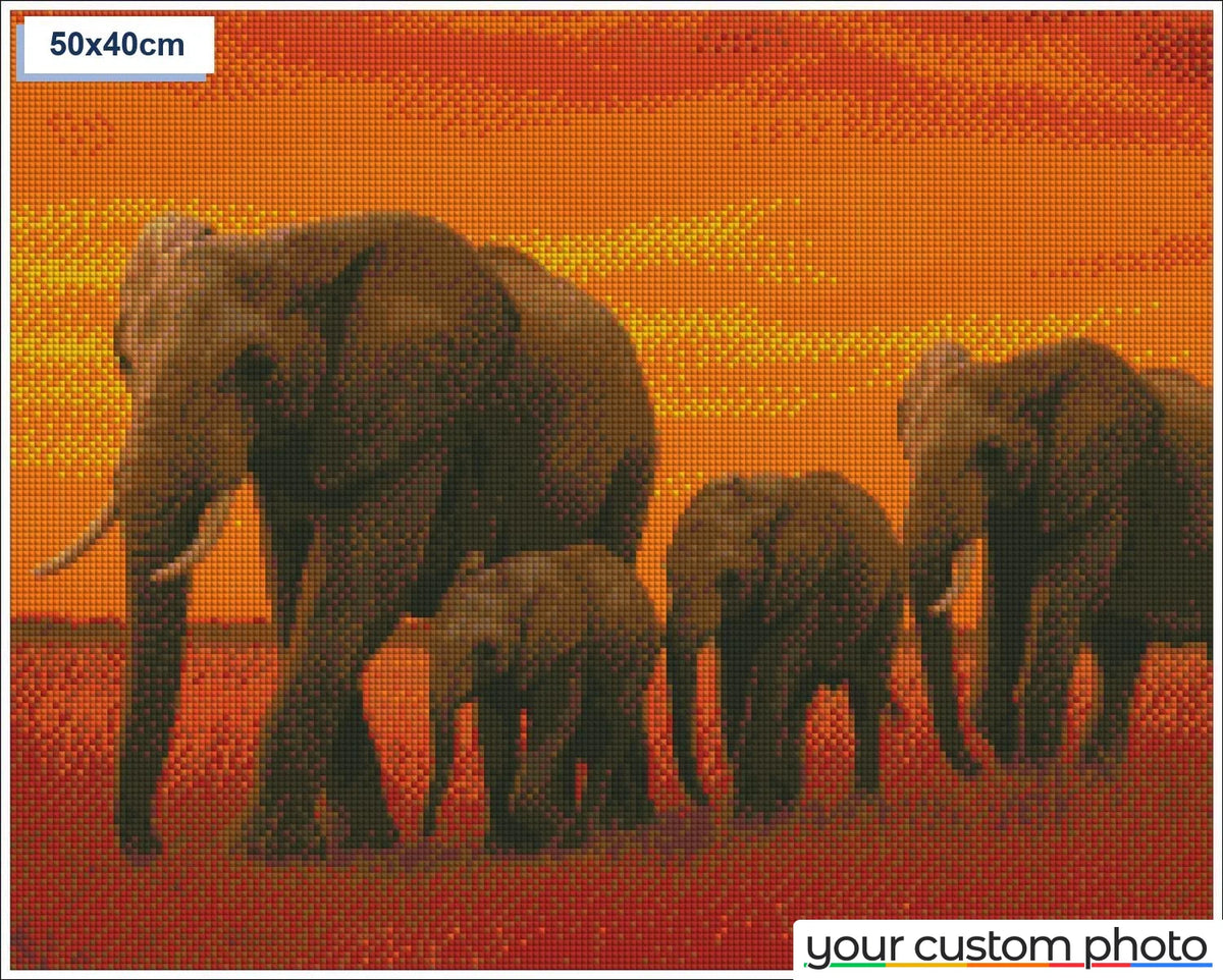 Elephant Family