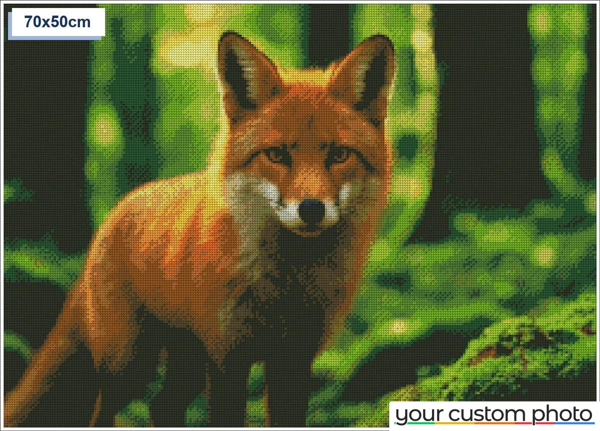 Sly fox