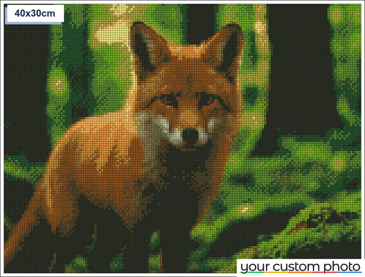 Sly fox