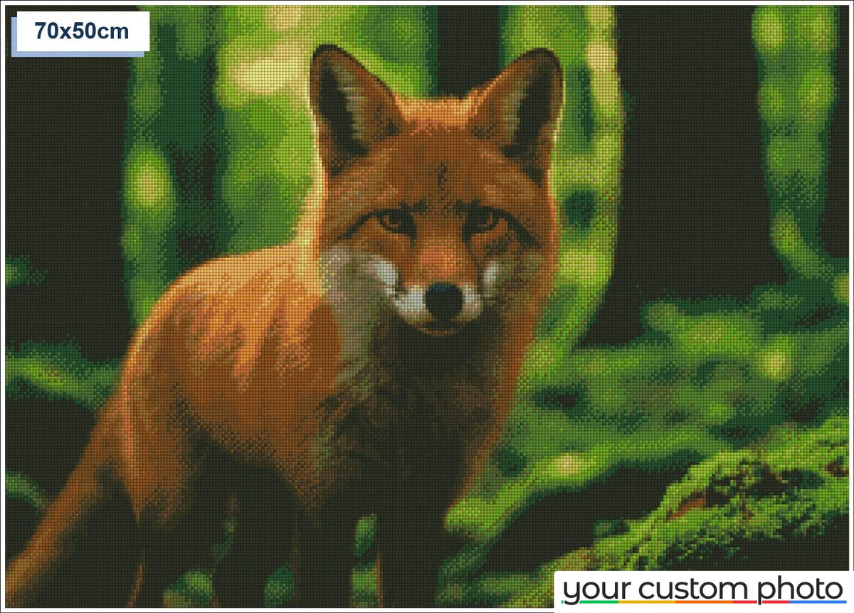 Sly fox