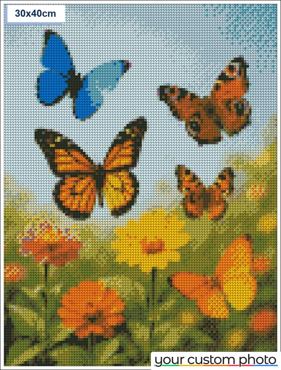 Butterflies in garden