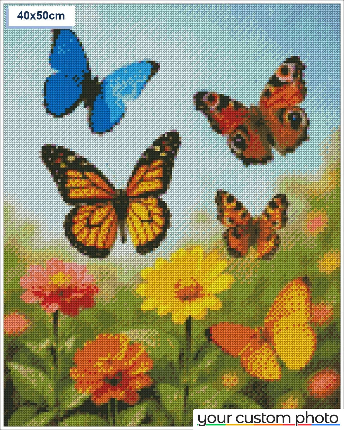 Butterflies in garden