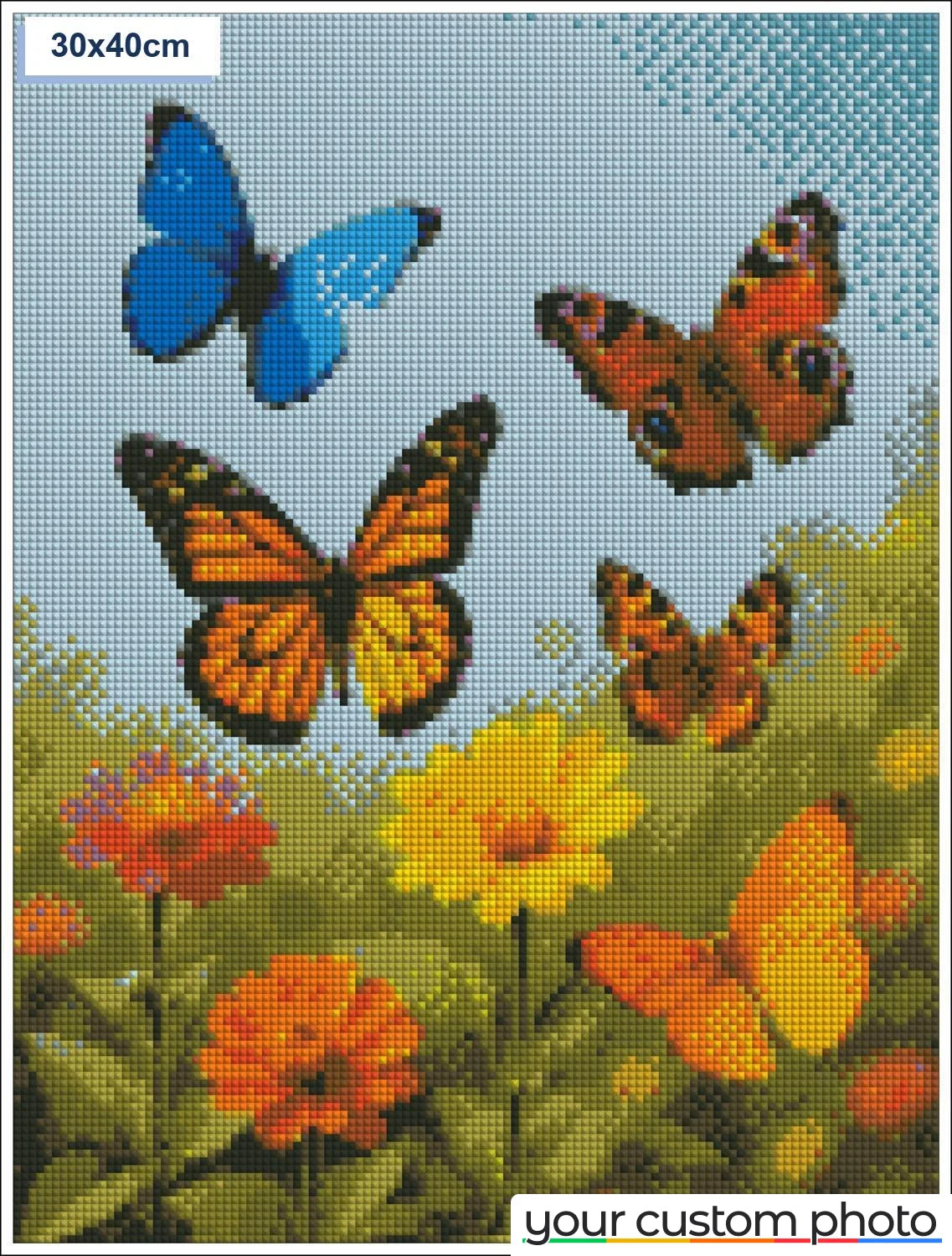 Butterflies in garden