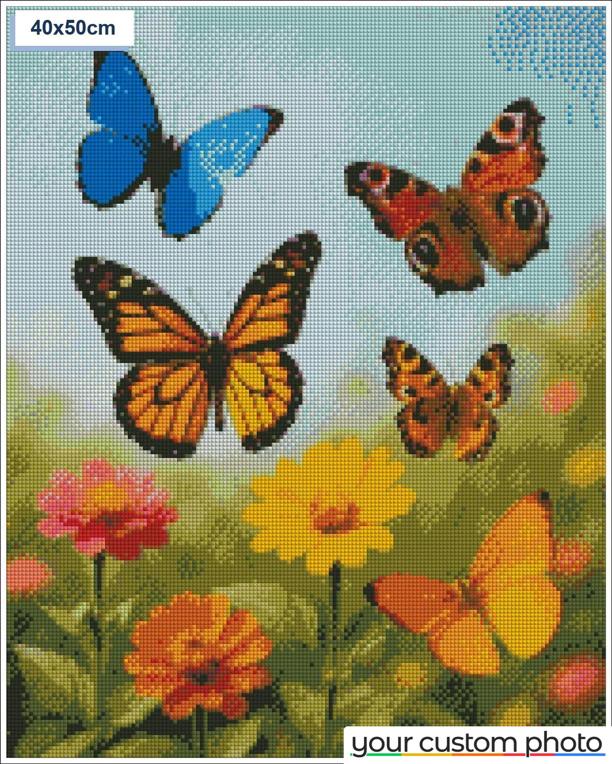 Butterflies in garden
