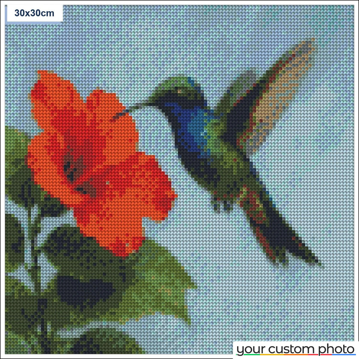 Hovering Hummingbird