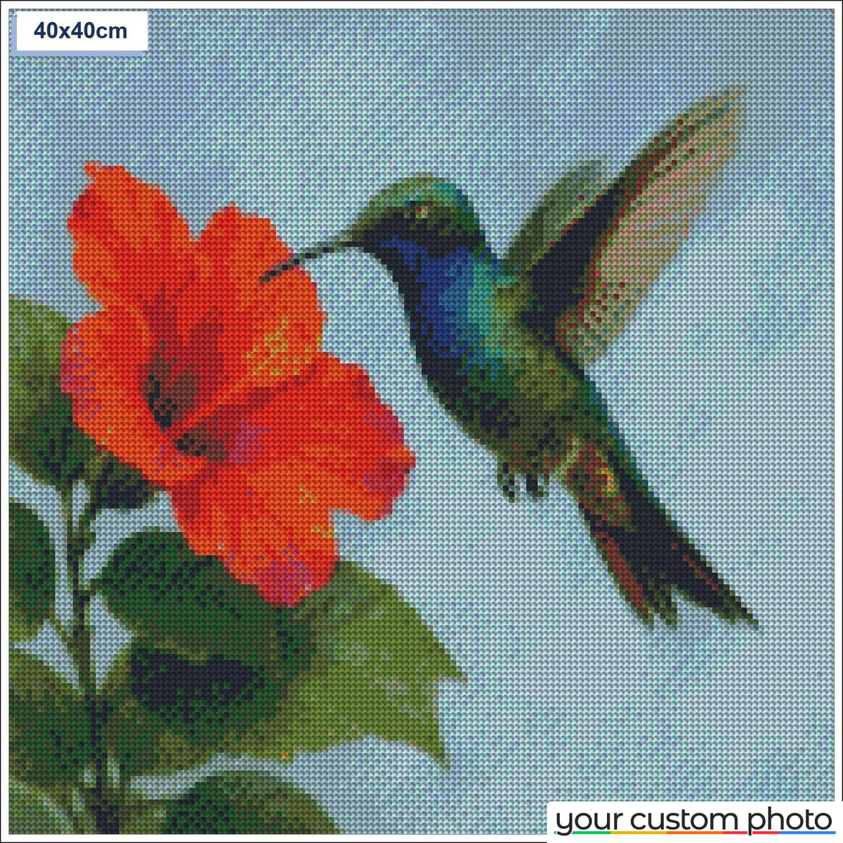 Hovering Hummingbird