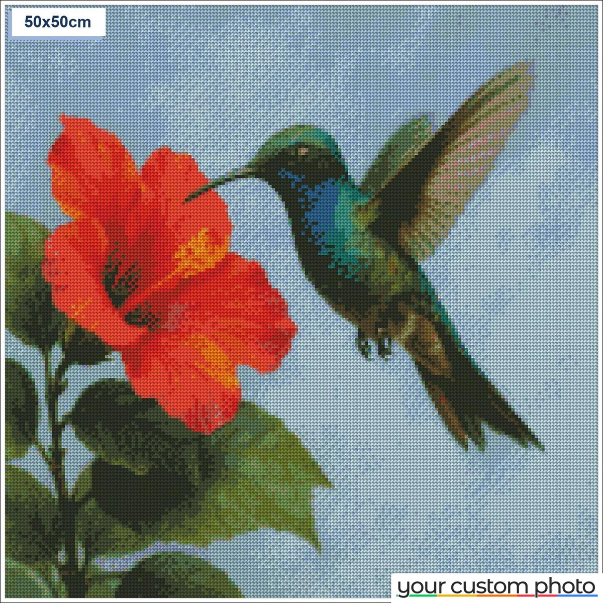 Hovering Hummingbird