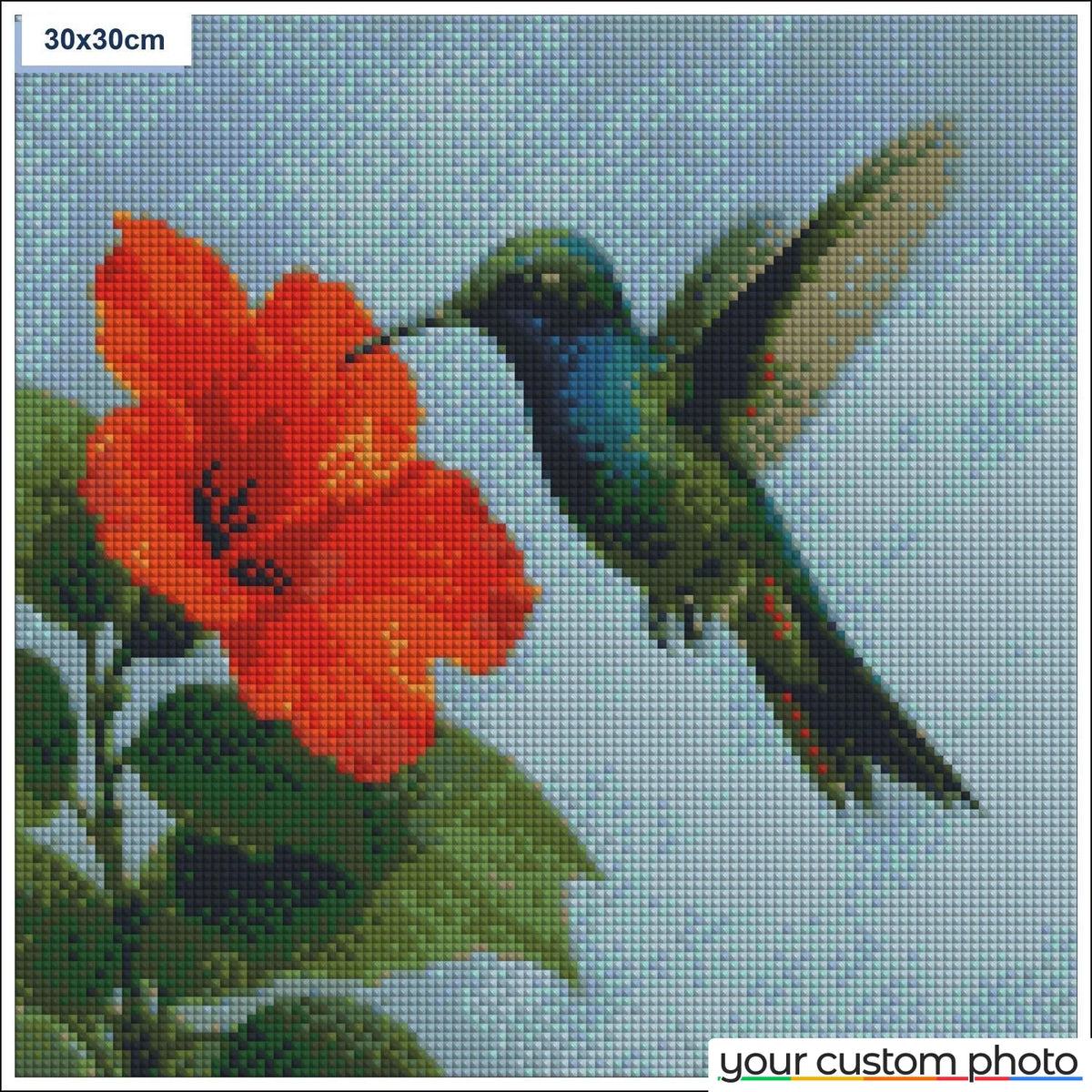 Hovering Hummingbird