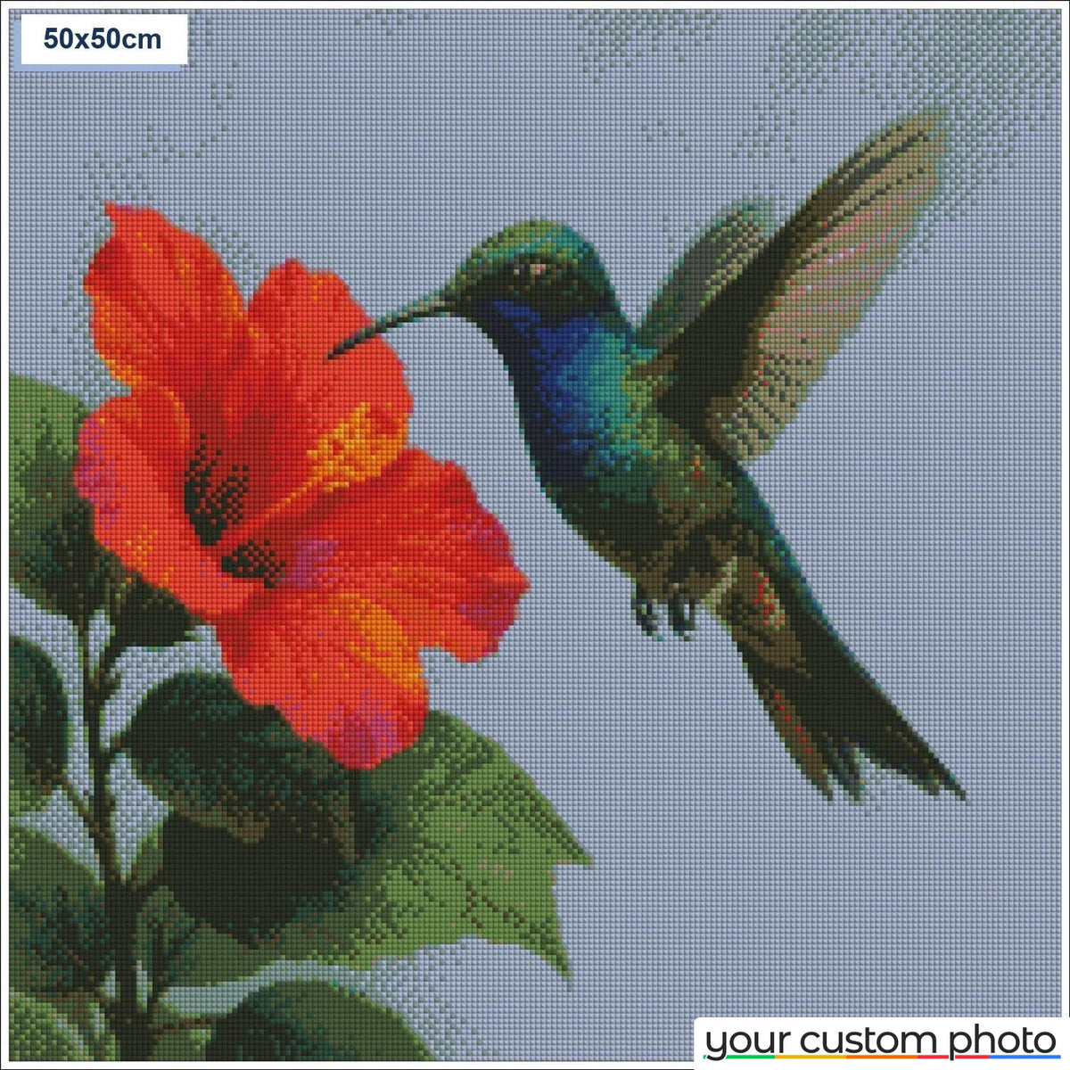 Hovering Hummingbird