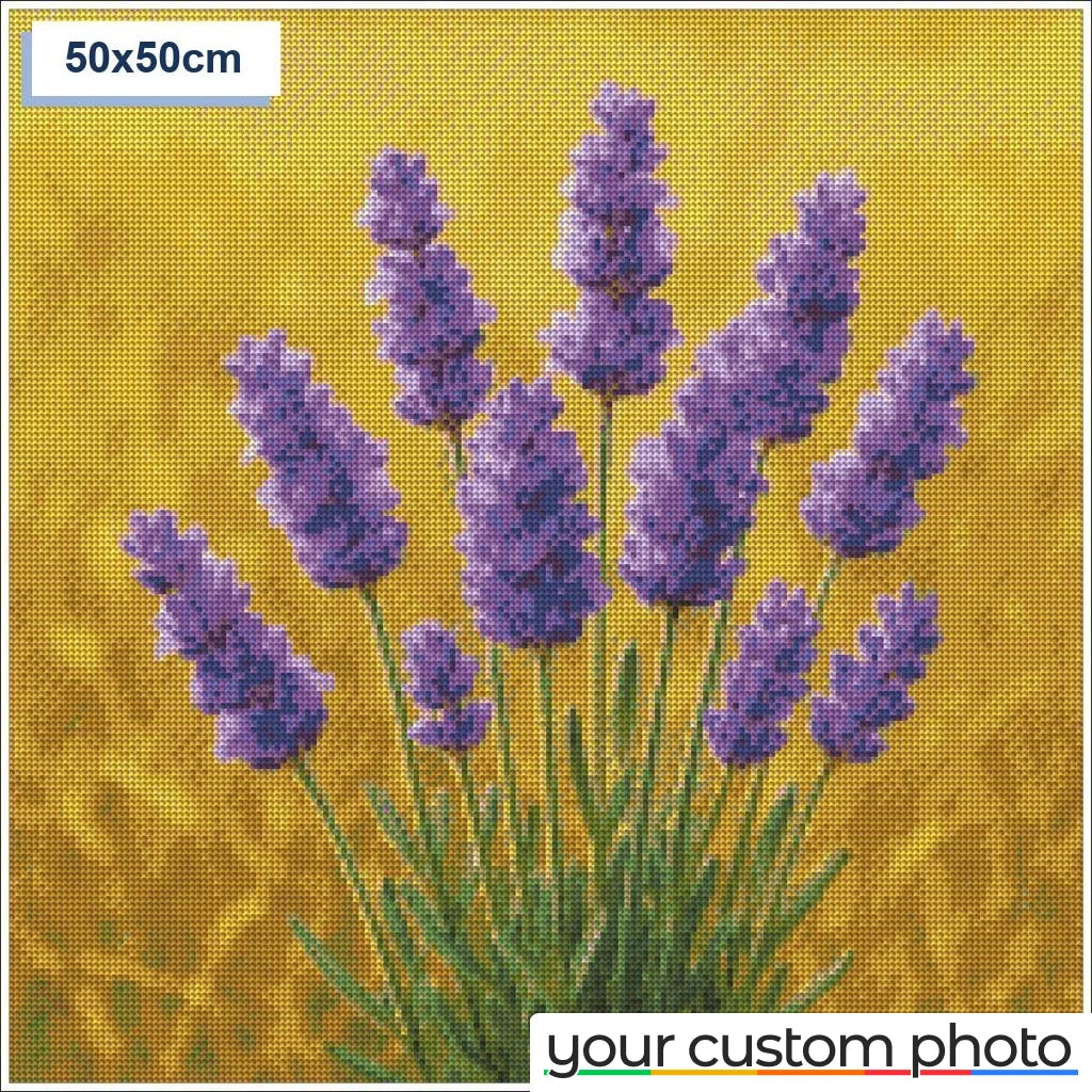 Lavender