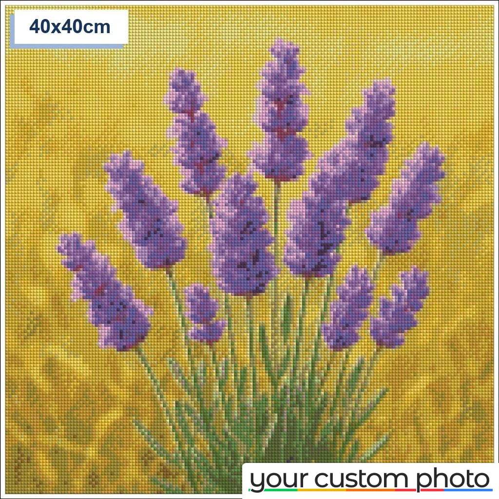 Lavender
