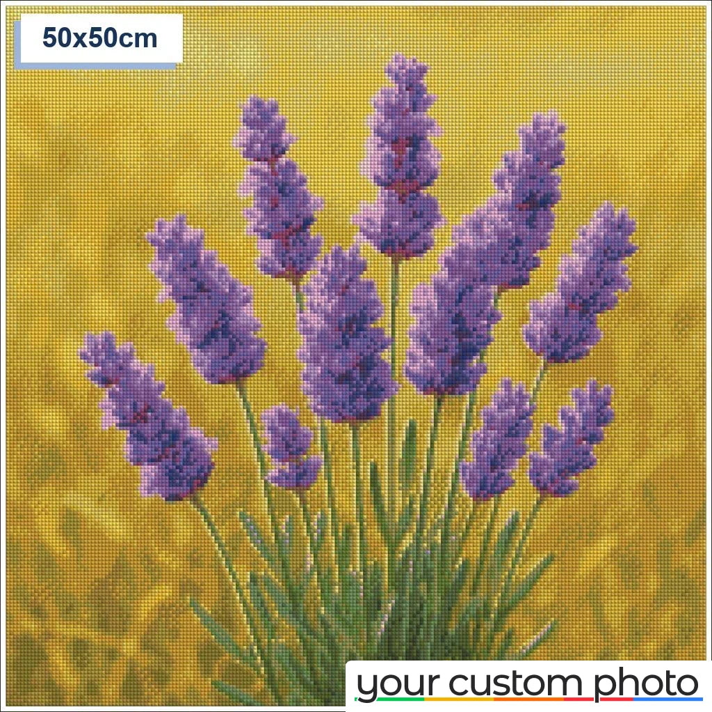 Lavender