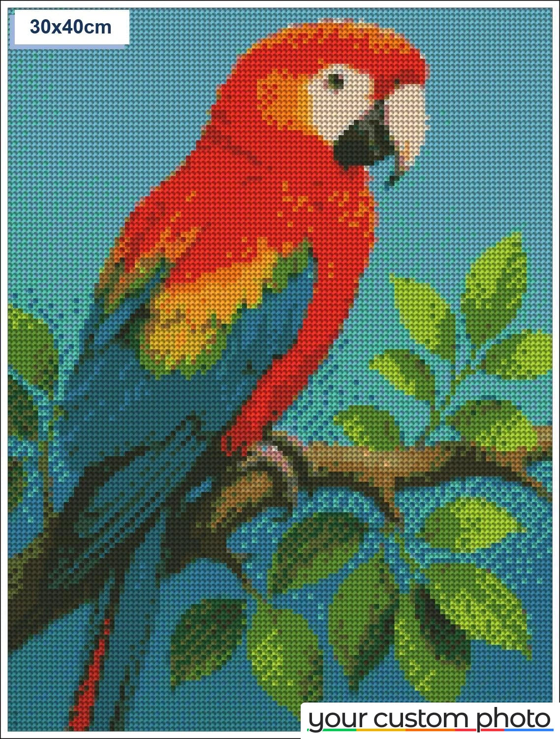 Colorful Macaw